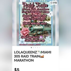 Miami 305 Raid Train